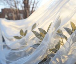 Comment fabriquer un voile d'hivernage maison pour protéger efficacement vos plantes du gel